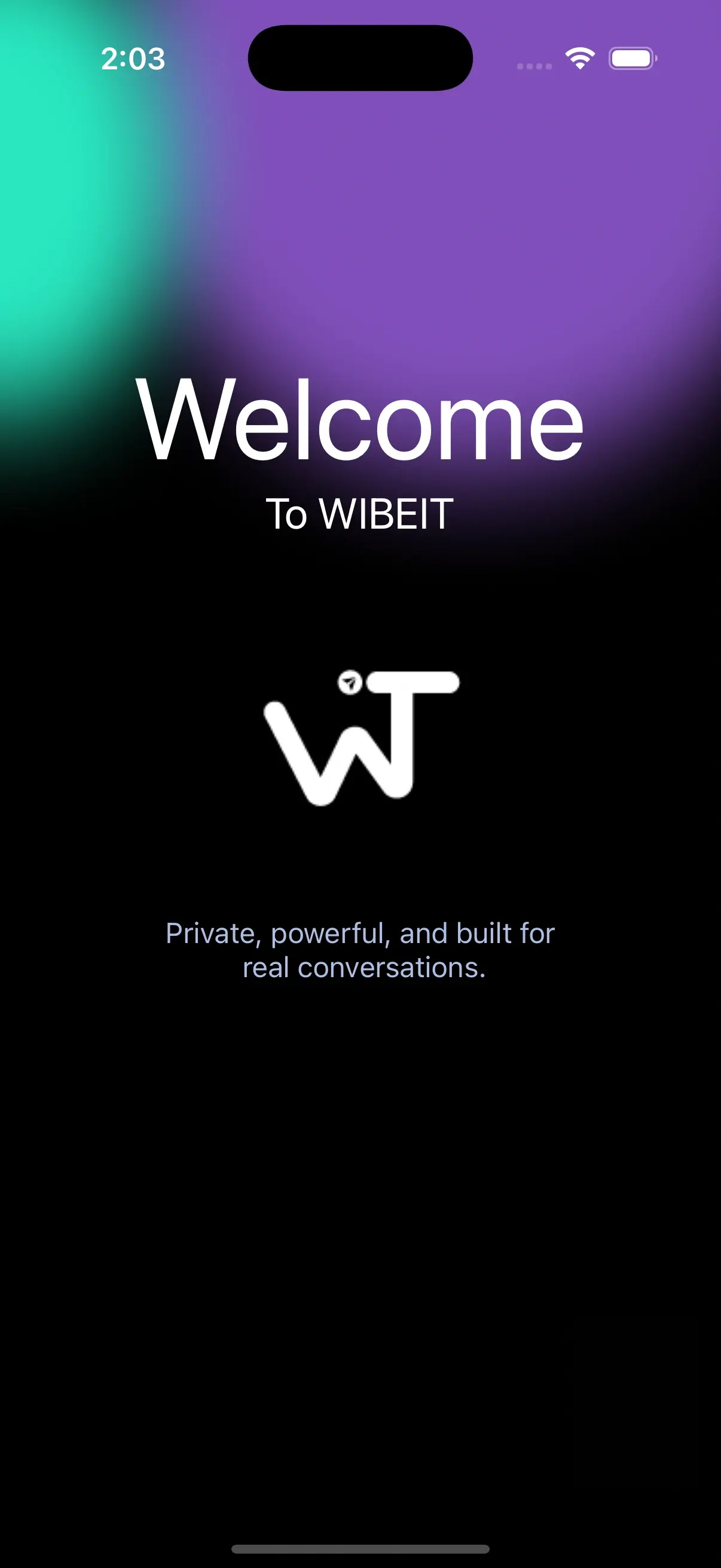 WibeIt private messaging app splash screen on phone
