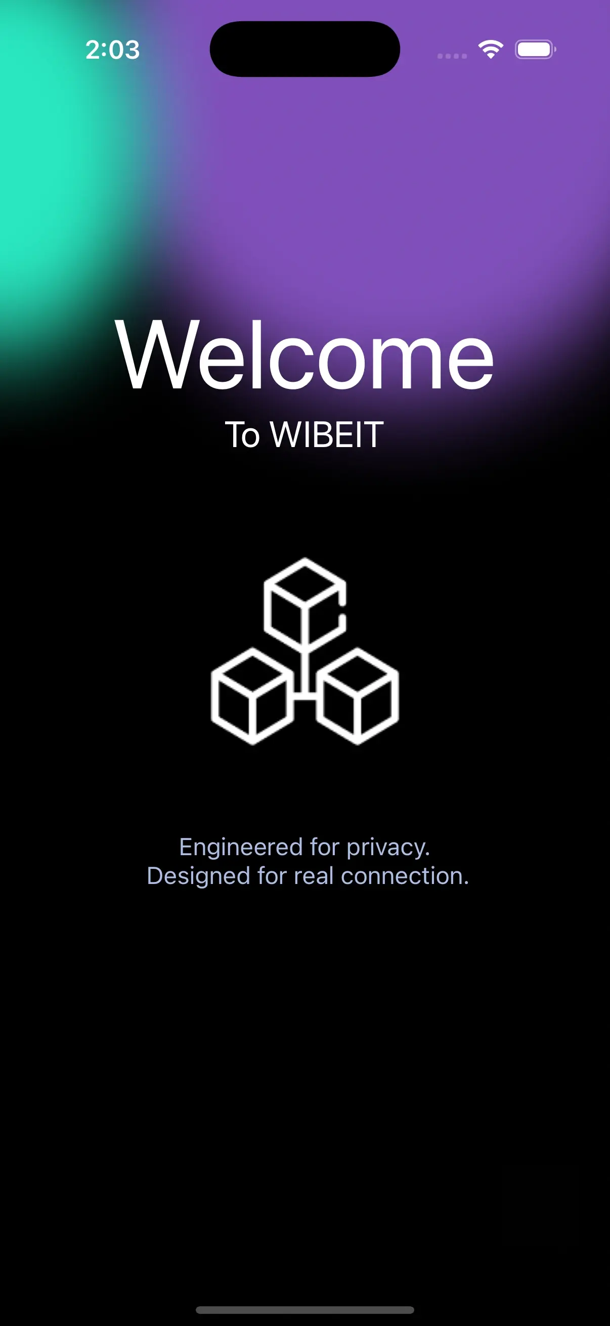 Wibet app welcome screen introducing the platform